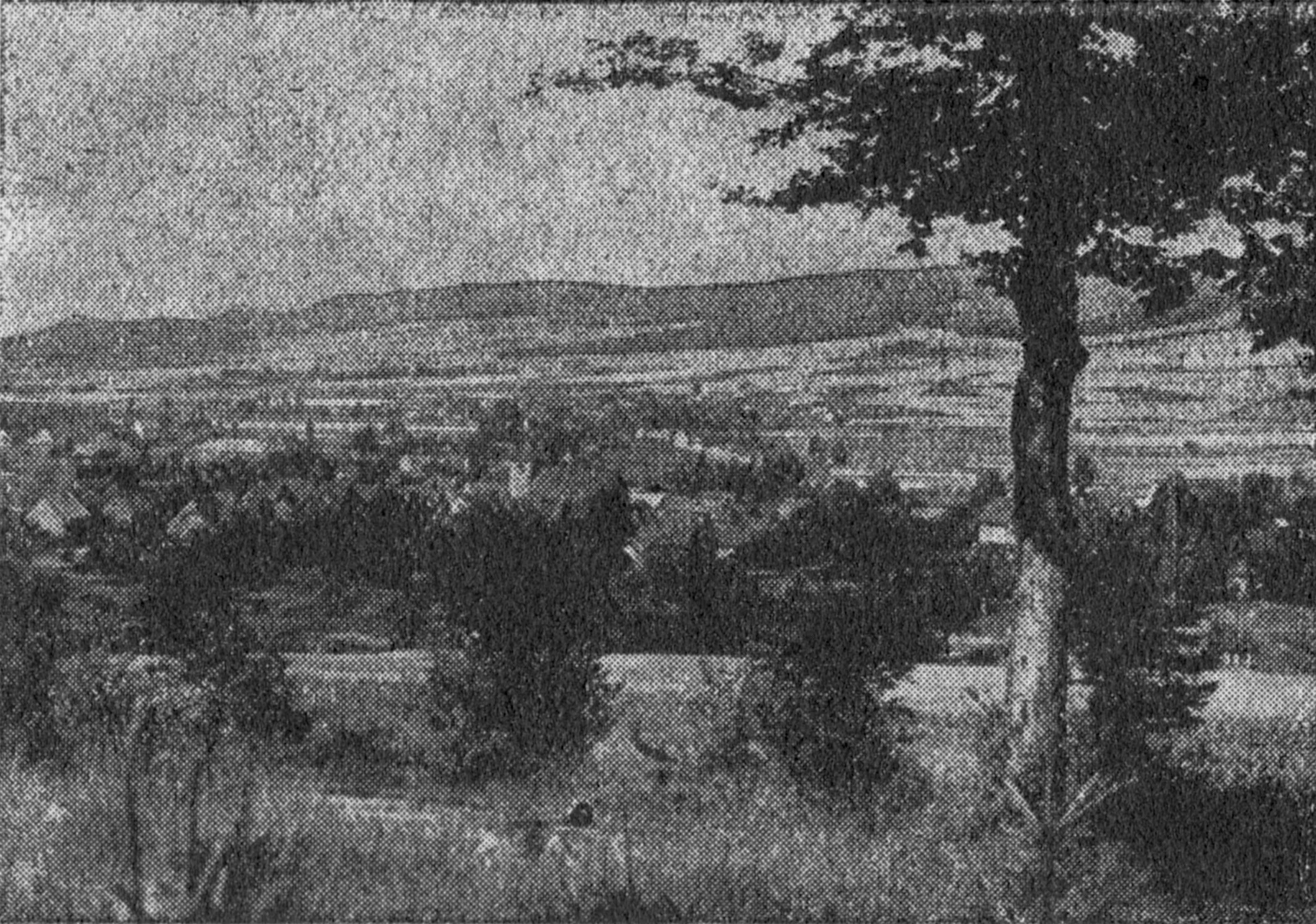 Foto Eschershausen
